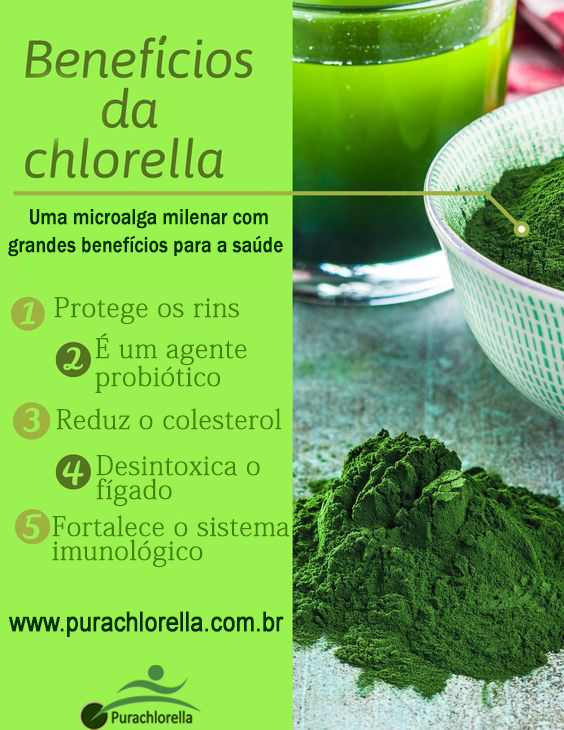 Benefícios da Chlorella