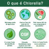 Banner O que é Chlorella?